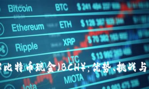 深入了解比特币现金（BCH）：优势、挑战与未来发展