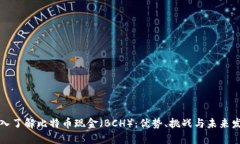 深入了解比特币现金（B