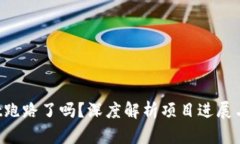  TPWallet跑路了吗？深度解