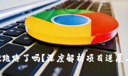  TPWallet跑路了吗？深度解析项目进展与用户反馈