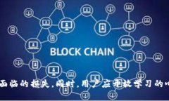 tpwallet私钥丢失怎么办？全面解析及应对策略bi