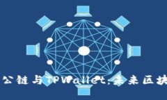深入探讨Bohr波尔公链与TPWallet：未来区块链技术