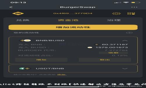 : TPWallet跨链转账不到账？快速解决方法及常见问题解析