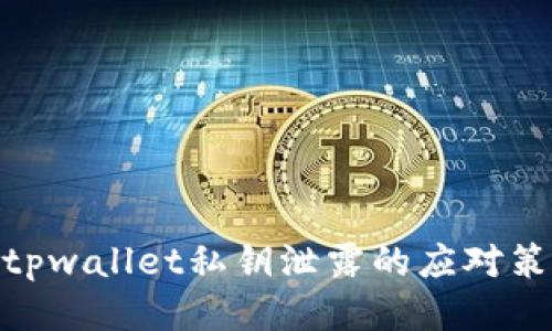 : tpwallet私钥泄露的应对策略