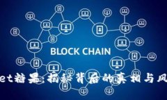 tpwallet糖果：揭秘背后的真相与风险分析
