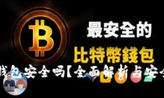 虚拟币轻钱包安全吗？全面解析与安全防护指南