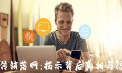 虚拟币传销落网：揭示背后真相与防范措施