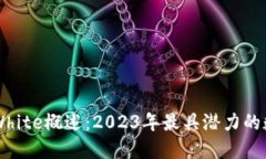 虚拟币White概述：2023年最