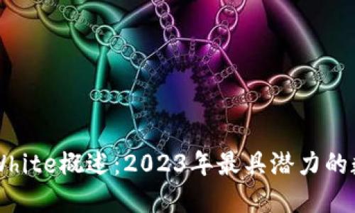虚拟币White概述：2023年最具潜力的数字资产