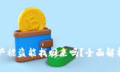 TPWallet资产被盗能找回来吗？全面解析及预防措施