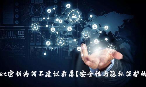 tpwallet密钥为何不建议截屏？安全性与隐私保护的重要性
