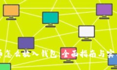 虚拟币怎么放入钱包：全面指南与实用技巧