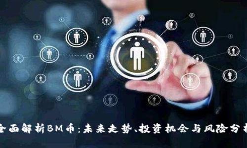 全面解析BM币：未来走势、投资机会与风险分析