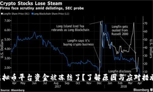 虚拟币平台资金被冻结了？了解原因与应对措施！