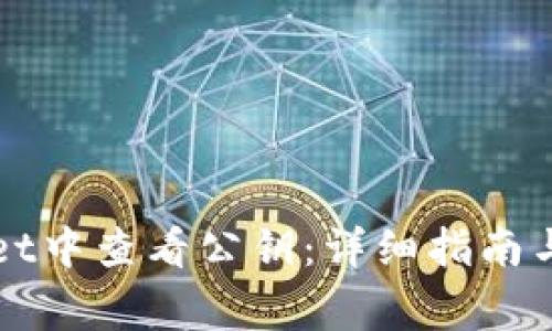 如何在TPWallet中查看公钥：详细指南与常见问题解答
