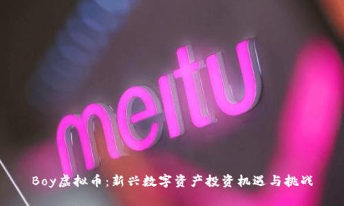 Boy虚拟币：新兴数字资产投资机遇与挑战