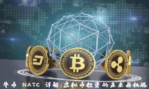 牛币 NATC 详解:虚拟币投资的未来与机遇