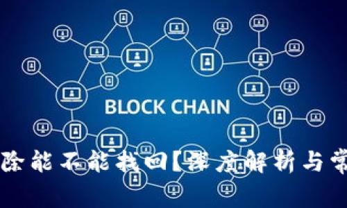 TPWallet删除能不能找回？深度解析与常见问题解答