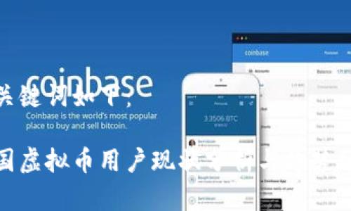 和关键词如下：

中国虚拟币用户现状分析与趋势预测
