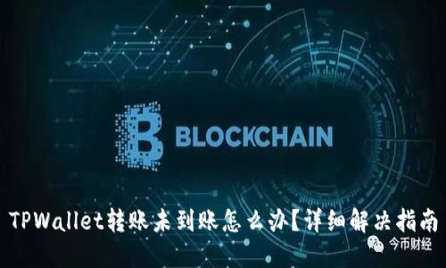 TPWallet转账未到账怎么办？详细解决指南
