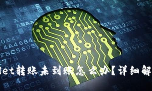 TPWallet转账未到账怎么办？详细解决指南