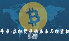 公牛币：虚拟货币的未来