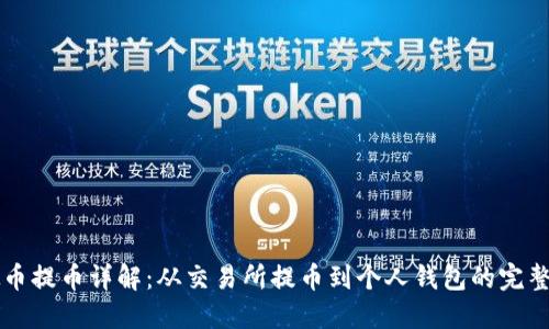 虚拟币提币详解：从交易所提币到个人钱包的完整流程