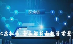  FGC虚拟币：全面解析与投