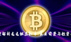 深度解析毛毛姐虚拟币：