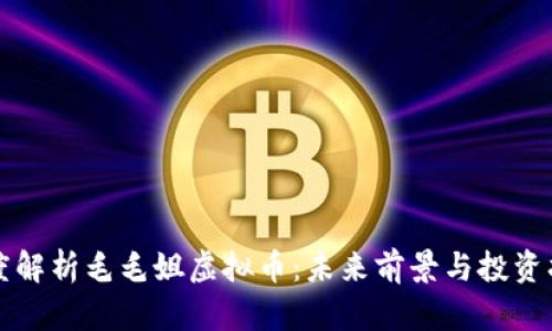 深度解析毛毛姐虚拟币：未来前景与投资指南
