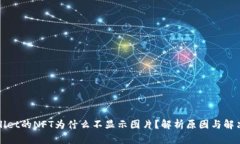 TPWallet的NFT为什么不显示图片？解析原因与解决方