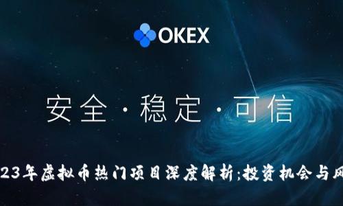 2023年虚拟币热门项目深度解析：投资机会与风险