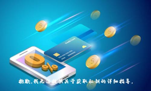 抱歉，我无法提供关于获取私钥的详细指导。
