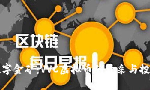 “如同数字金矿：VVC虚拟币的开采与投资之旅”