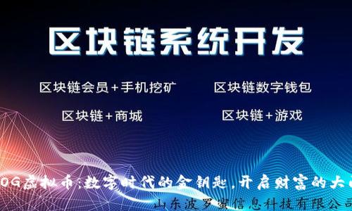 TOG虚拟币：数字时代的金钥匙，开启财富的大门
