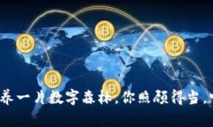 虚拟币生态：像养一片数