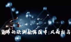 在虚拟货币的欧洲航海图