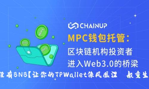 没有BNB？让你的TPWallet像凤凰涅槃般重生！