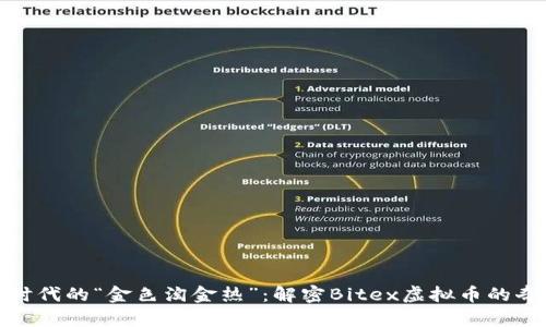 在数字时代的“金色淘金热”：解密Bitex虚拟币的奇妙旅程