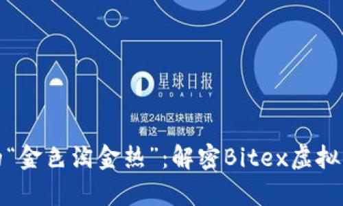 在数字时代的“金色淘金热”：解密Bitex虚拟币的奇妙旅程