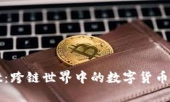 TPWallet：跨链世界中的数字
