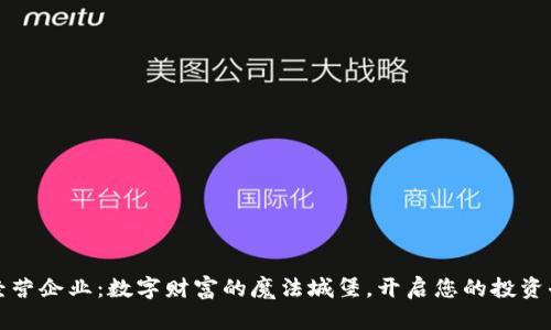 虚拟币经营企业：数字财富的魔法城堡，开启您的投资奇幻之旅