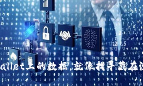 轻松查找TPWallet上的数据，就像找寻藏在沙滩上的贝壳！