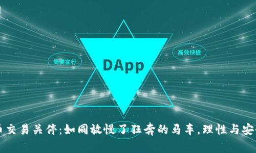 虚拟币交易关停：如同放慢了狂奔的马车，理性与安全同行