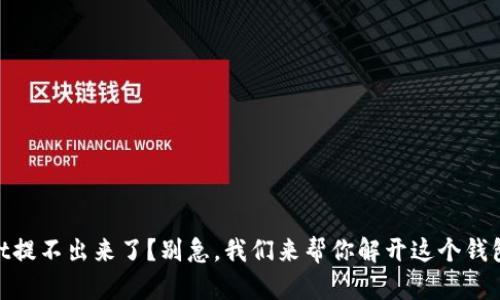 ### TPWallet提不出来了？别急，我们来帮你解开这个钱包的“隐秘花园”！