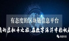 陶鸥的虚拟币之旅：在数