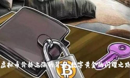 虚拟币价格上涨的背后：数字黄金的闪耀之路
