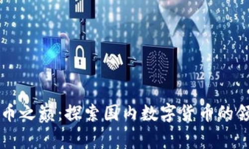 虚拟币之巅：探索国内数字货币的领航者