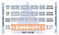 虚拟币之巅：探索国内数