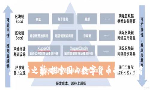 虚拟币之巅：探索国内数字货币的领航者